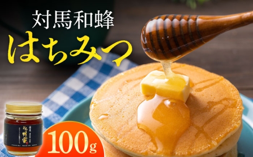 y茧ΔnszΔn aI ݂͂ 100g×1{ sΔnstyc@l n㋦ciΔnRm\jz I n`~c {~co` jz~co` [WAM033]