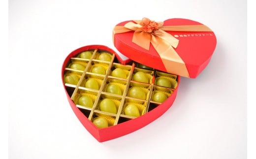 yRRszԂǂ2026N  RYVCi ԃS[h{ϔ18p