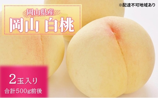 yRsz[5615-0799] 2026N s\  2ʓ v500gO RY  RY Y t[c ʕ Mtg