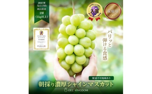 yRzԂǂ 2026N s\ mƒpn VC }XJbg 2[iv1kgȏj uhE  RY Y t[c ʕ OEC KINGDOM Ԃǂ ʕ