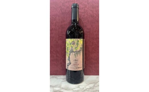 y쌧Ksz`CXyɂ̗z[uāvEmber'23  | C 킢 `CX ԃC C      Ks 쌧 MB