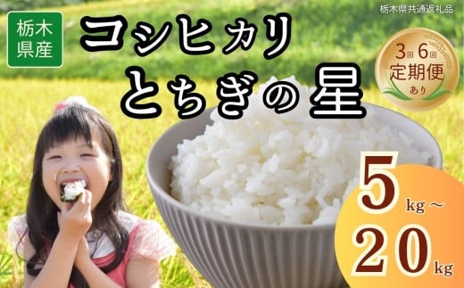 yȖ،szIׂ  V    R Ђ RVqJ Ƃ̐ 1 3 5kg 10kg 20kg | 2025N 2025N ߘa7N H  ͂   lC  | 