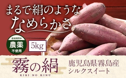 yszK-278-B ss\tI2025N12{`2026N3{ɔ\t̂܂ǔv5kgyI[Khzs ܂ Tc}C ܈ 