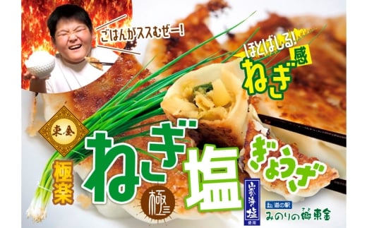 ytszNo.344 Ɋy˂傤4܃Zbg@20×4 ^ Lq MEU  lM ɂɂ ܂ yȂ [ H Xg̖ s t