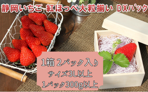 yÉcsz[5695-0968] gق 嗱 DXpbN 1 2pbN Zbg t[c ʕ  C`S  嗱 ʎ {̉ʕ {̃t[c É É cs yzsF