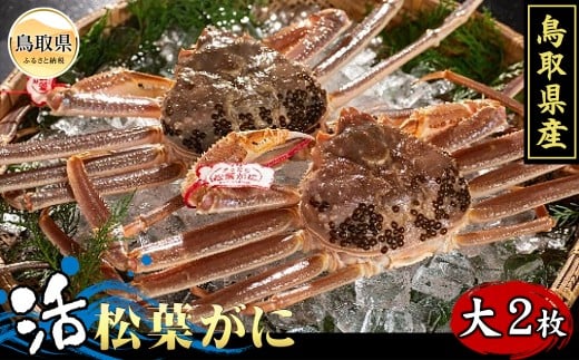 y挧zF24-064 挧Y@tɁi^Otj2yԌz 挧  t YCKj