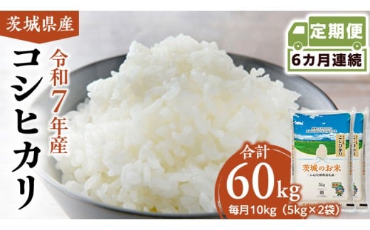 y錧}szy  6 z 錧Y RVqJ 10kg ( 5kg × 2 )   R  Ђ 錧  V  [DK011ci]