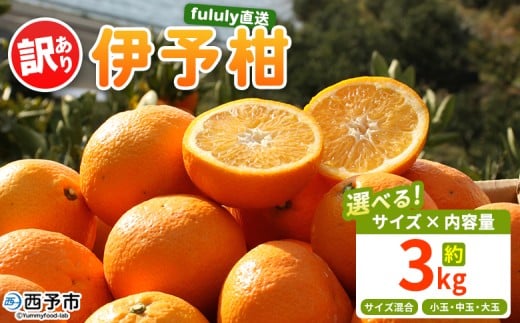 yQ\szfululy ɗ\ 󂠂 3kg Iׂ PA TCY    ʕ t[c  悩 CJ k ƒp fululy  Q \sy퉷