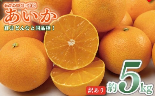 yQRszys\zy2025N11{ȍ~z 󂠂 ݂ 28 5kg  ACJ ݂ g܂ǂ g}hi Ɠi k ʕ  t[c ݂ ~J