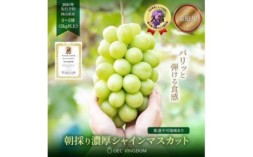 yRzԂǂ 2026N s\ mƒpn VC }XJbg3`5[iv2kgȏj uhE  RY Y t[c ʕ OEC KINGDOM Ԃǂ ʕ