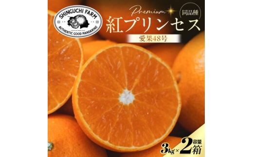 yQlszgvZXƓi큄uÕ×܂ǂȁv483kg×2ƒpH70-112y1683893z