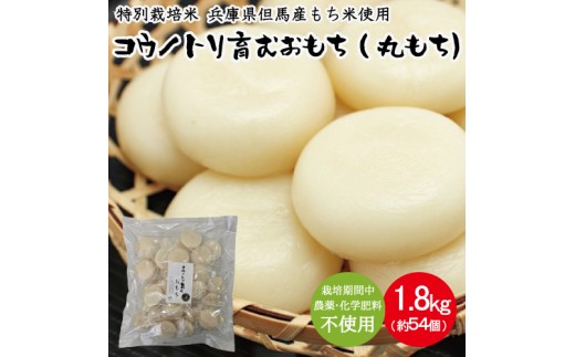 yɌLszʍ͔| ɌAnY REmgނiۖ݁j 3 1.8Kgi54j