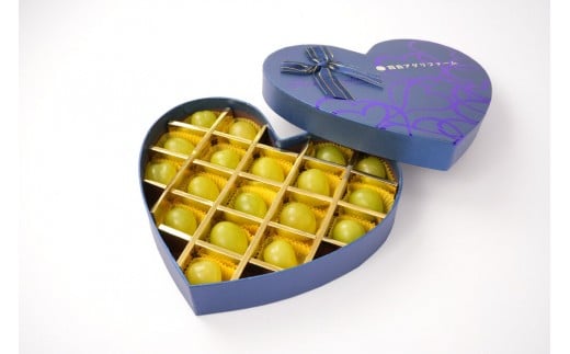 yRRszԂǂ 2026N  RYVC}XJbgi ϔ18p