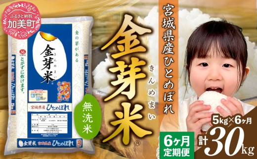 y{錧zy 6z  ߘa7NxY {錧Y ЂƂ߂ڂ  v 30kg ( 5kg × 6 )  [ km-my-knm05-t6-r7 ]    R   ߂܂