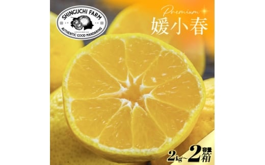 yQlszʌ聄Vܔ_Ƃɂ߂v~AQt2kg×2 QVi큃F70-117y1683928z