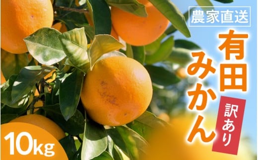 ya̎RI쒬zy󂠂z_ƒ Lc݂ 10kg ƒp TCYi͂wsjyNs\z2025N11{菇\ kCEEւ̔zs