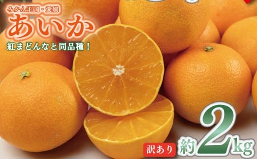 yQRszys\zy2025N11{ȍ~z 󂠂 ݂ 28 2kg  ACJ ݂ g܂ǂ g}hi Ɠi k ʕ  t[c ݂ ~J