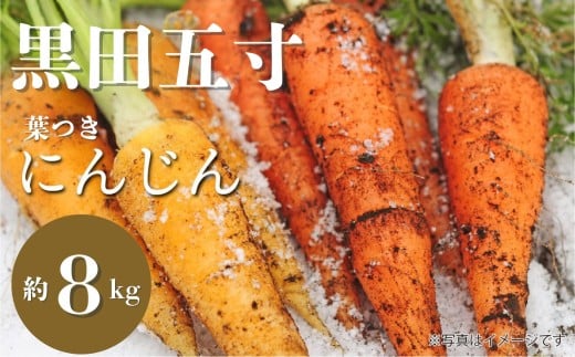 y򕌌ˎszL@jW 8kg lQ ɂ񂶂 L@ ݗiE}ܐ@L@lQi􂢁j8kg@Q\Ö@ɂЂpI