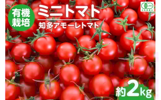 ymmszL@͔|~jg}g@mA[g}g@2kg^ Ƃ܂  x m Yi