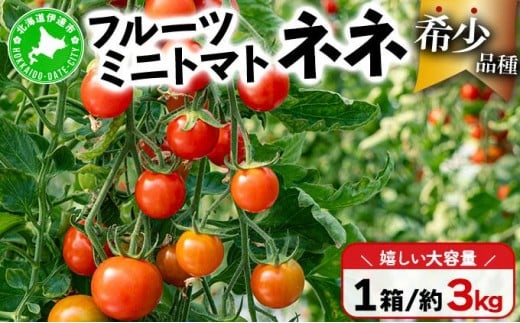 ykCɒBszy2026Ns\zkCY ~jg}g ll 3kg t[cg}g v`g}g Â Z ʂ N₩   Ε  AȓyY p Yn _