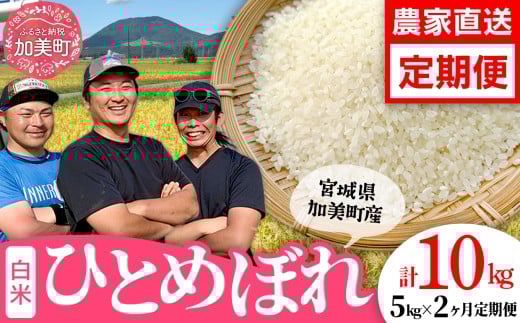 y{錧zy5kg×2 v10kgz  {錧Y ЂƂ߂ڂ 5kg  s ߘa7NY V t    ͂ R    ƒp St@[ [ {錧  ]