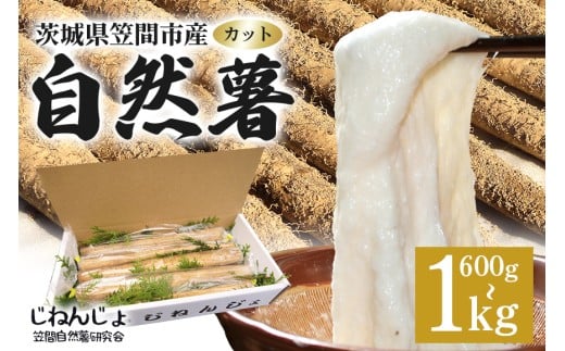 y錧}Ԏsz}ԎR̎RJbg Iׂ600g 800g 900g 1kg R  R Ƃ Ƃ낲  ˂΂˂ NHi e }ԎsY 錧Y h{Ղ Mtgɍ