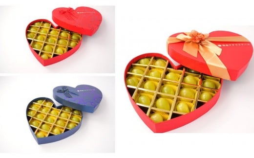 yRRszԂǂ2026N  RYVC}XJbgi ϔ18py̐FIт܂z