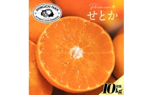 yQlszʌ聄Vܔ_Ƃɂ߂v~AƂ10kgk̑gH70-116y1683916z