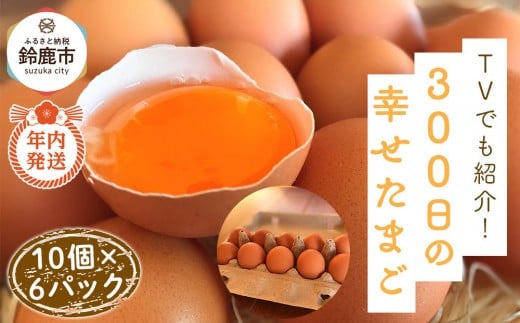 yOd鎭szy12/15܂ł̐\ŔNɂ͂IzTVłЉI鎭śu300̍K܂v 10×6pbN