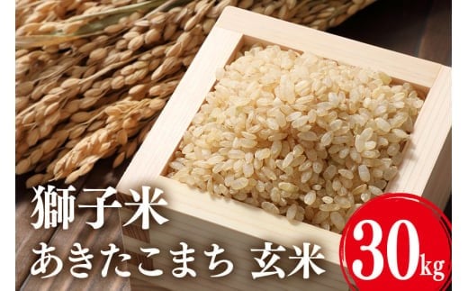 y錧Ήszyߘa7NYzq ܂ 30kg     uh 30L Y R    錧Y  Y Yn _ƒ ͂ ƒp p