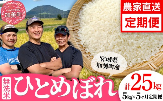 y{錧zyāzy5kg×5 v25kgz  {錧Y ЂƂ߂ڂ 5kg  s ߘa7NY V t    ͂ R    ƒp St@[ [ {錧  ]