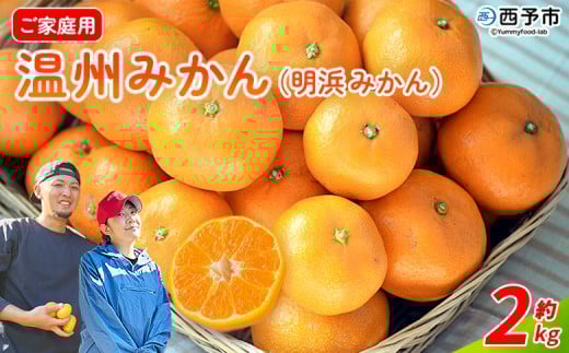 yQ\szB݂il݂j ƒp 2kg B 񂵂イ ݂  { ʕ t[c k l _ ƒp Y QY  Yi _ Q 