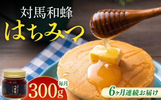 y茧ΔnszyS6ցz Δn aI ݂͂ 300g×1{ sΔnstyc@l n㋦ciΔnRm\jz I n`~c {~co` jz~co` [WAM047]