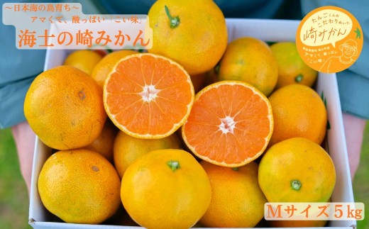 yCmzyԌzn݂̍ MTCY 5kg 50 Ԍ 11{蔭Jn