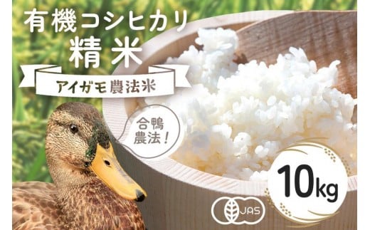 y錧Ήszyߘa7NYzL@ RVqJ  10kg L@͔| L@ ʍ͔| _@ Ђ     uh Ђ 10L Y Pꌴ R  