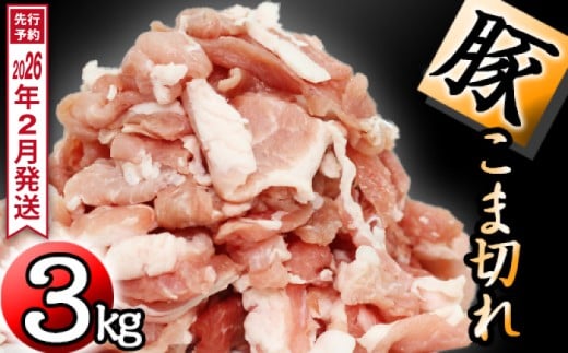 y茧szs 2026N 2t Y l Ԑ؂  Zbg ^pbN 300g 10  3000g ^ 肷ہ[   ؓ ؂ ؏ ؂藎Ƃ ROO 3kg R ROOO