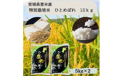 y{錧zߘa7NY{錧oĎsY@ʍ͔|ĂЂƂ߂ڂ10kg(5kg×2)y1397558z