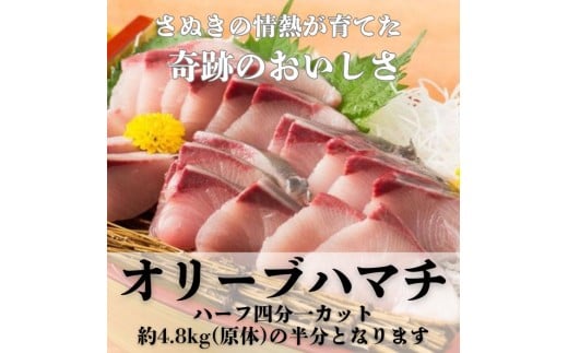 y쌧xÒzI[un}` n[tilJbgjy\tFߘa7N10{o׊JnIzyB-812z