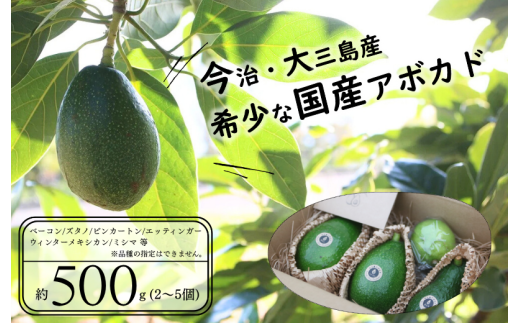 yQszss\t󏭂ȍY@OA{Jh500g [LB01340]