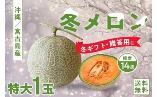 yꌧ{Ószy}VFzND]Iꌧ{ÓY ~iPʁjp ~̃Mtg