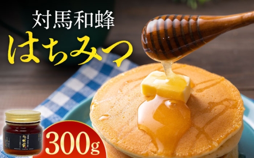 y茧ΔnszΔn aI ݂͂ 300g×1{ sΔnstyc@l n㋦ciΔnRm\jz I n`~c {~co` jz~co` [WAM034]