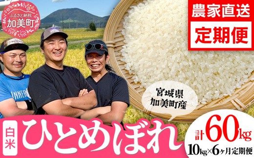 y{錧zy10kg×6 v60kgz  {錧Y ЂƂ߂ڂ 10kg  s ߘa7NY V t    ͂ R    ƒp St@[ [ {錧  ]