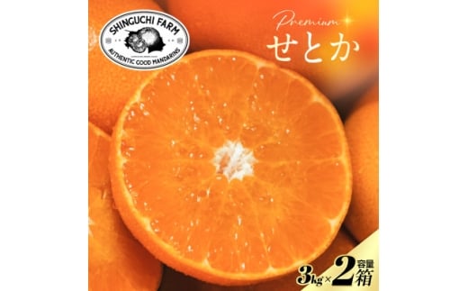 yQlszʌ聄Vܔ_Ƃɂ߂v~AƂ3kg×2k̑gH70-115y1683912z