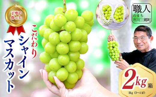 シャインマスカット 【2026年発送】 山梨 2kg箱 ぶどう 葡萄 山梨県