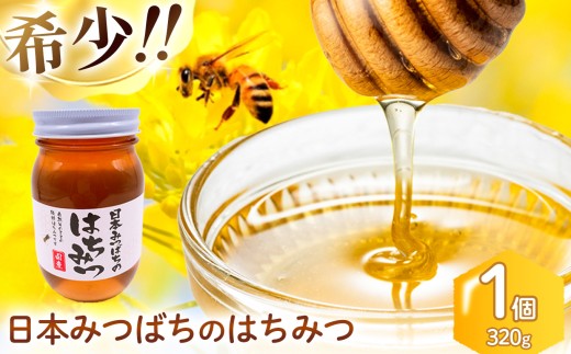 【徳島県産】日本蜜蜂のはちみつ味くらべSET③-2   600g×2本 徳島県産】日本蜜蜂のはちみつ味くらべSET③-2 600g×2本 【公式通販】