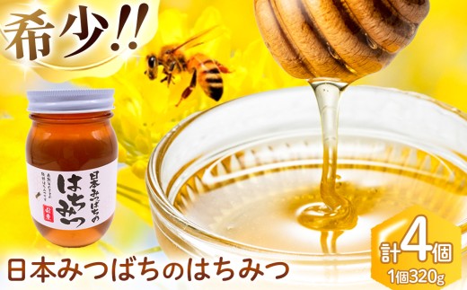 和水町産 日本蜜蜂のはちみつ｢希少品｣ 320g×4個 | 熊本県 熊本
