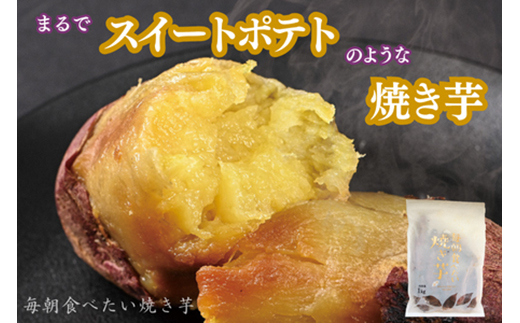 y򕌌HszHׂĂ@1Kgy1670920z