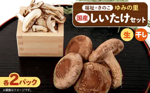 ytَRsz_AgtَRYZbg(110g×2pbNE30g×2pbN)y1486713z