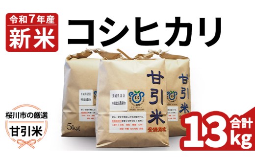 y錧szߘa7NY s I È 13kg ʍ͔| RVqJ Ђ   R L@엿 sY 錧 ΂炫 [BA001sa]