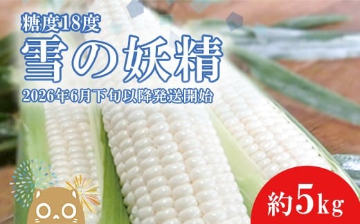 y錧zK1966ys\zy2026N6{ȍ~zx18xO Ƃ낱u̗dv5kg 1000Zbg